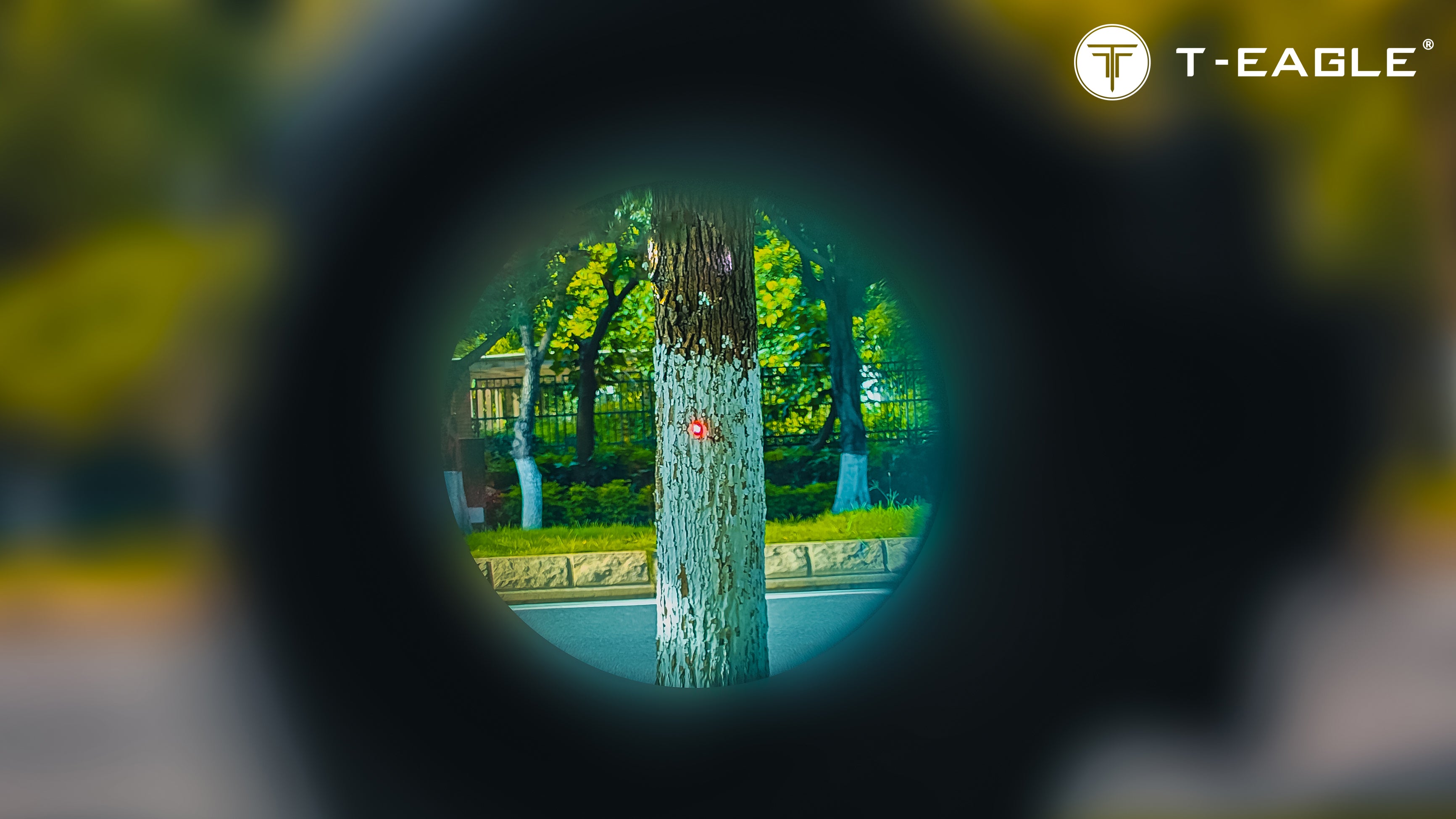 T-EAGLE R5 Red Dot Sight